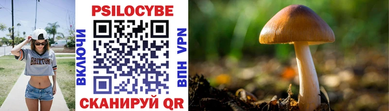 Псилоцибиновые грибы GOLDEN TEACHER  Купить  Осташков 